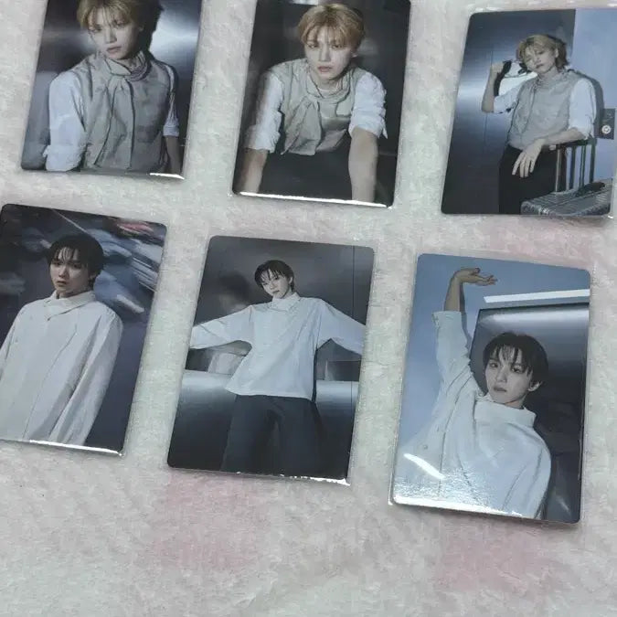 [BUNJANG] BOYNEXTDOOR Photocard / 보이넥스트도어 포토카드