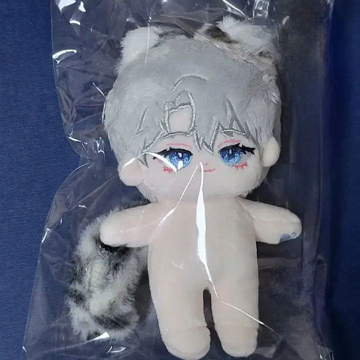 [BUNJANG] 10cm Teabag Cheongryeo &