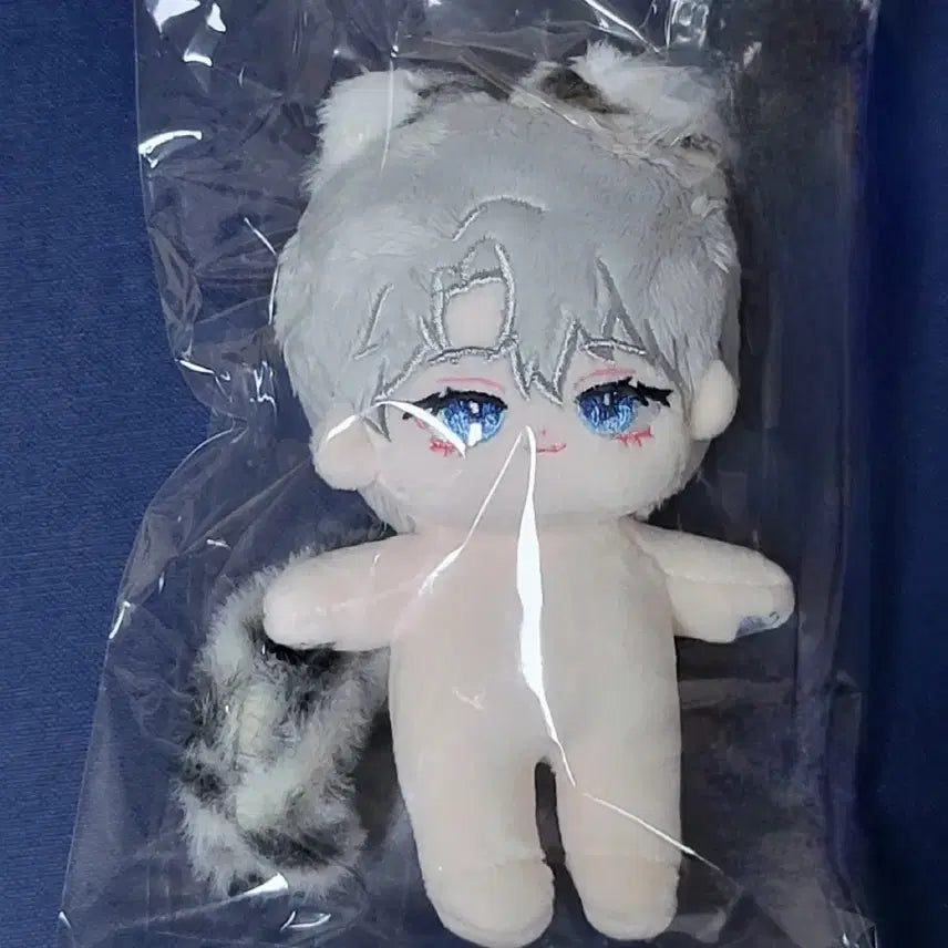 [BUNJANG] 10cm Teabag Cheongryeo &