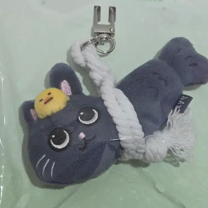 [BUNJANG] RIIZE Wonbin To-nyangdeok Lucky Draw Keychain (Sealed) / 미개봉) 폭덤 라이즈 원빈 토냥덕 액막이 키링