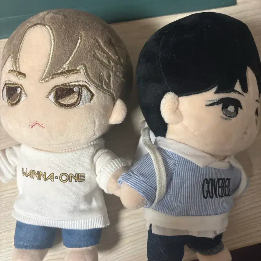 [BUNJANG] Bae Jinyoung Doll Bundle Set / 배진영 인형