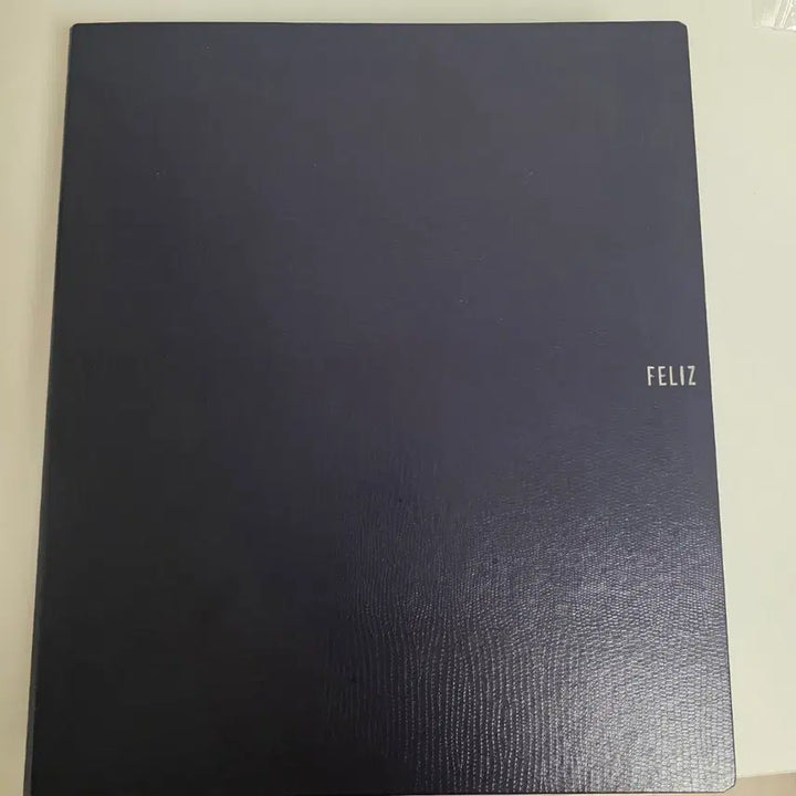 [BUNJANG] A4 Binder with 10-Pocket 40-Sheet Refills / A4바인더 + 하이하바 10포켓 속지 40장