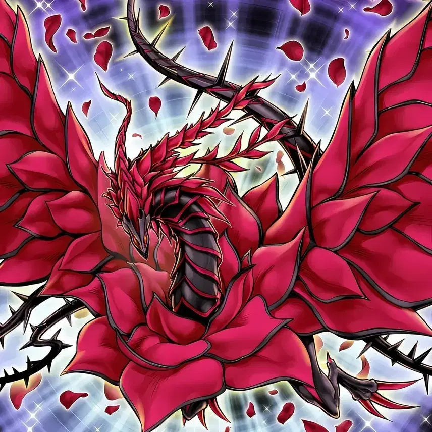 [BUNJANG] Yu-Gi-Oh! Black Rose Dragon 1st Edition Ultimate Rare / 유희왕 블랙 로즈 드래곤 1st 얼티 퍼얼 찾습니다!