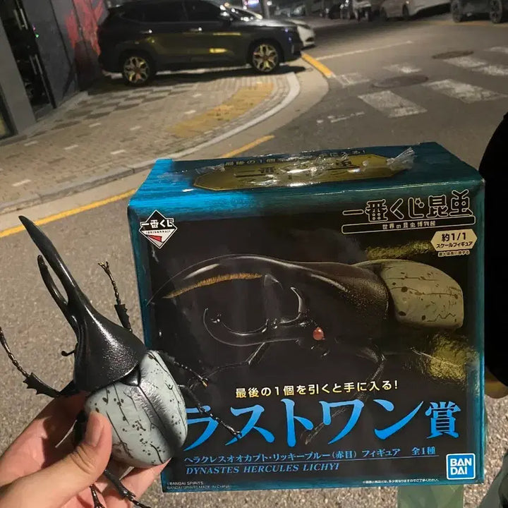 [BUNJANG] Ichiban Kuji Hercules Beetle Last One Prize / (급처)곤충 제일복권 헤라클레스 장수풍뎅이 라스트원 적목, 리키
