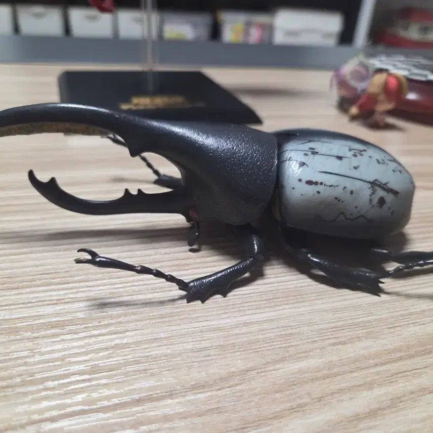 [BUNJANG] Ichiban Kuji Hercules Beetle Last One Prize / (급처)곤충 제일복권 헤라클레스 장수풍뎅이 라스트원 적목, 리키