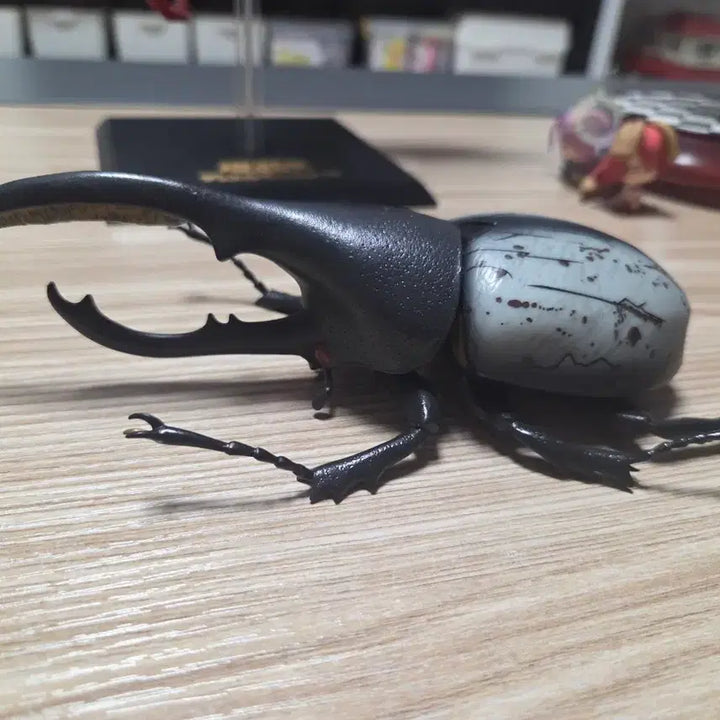 [BUNJANG] Ichiban Kuji Hercules Beetle Last One Prize / (급처)곤충 제일복권 헤라클레스 장수풍뎅이 라스트원 적목, 리키