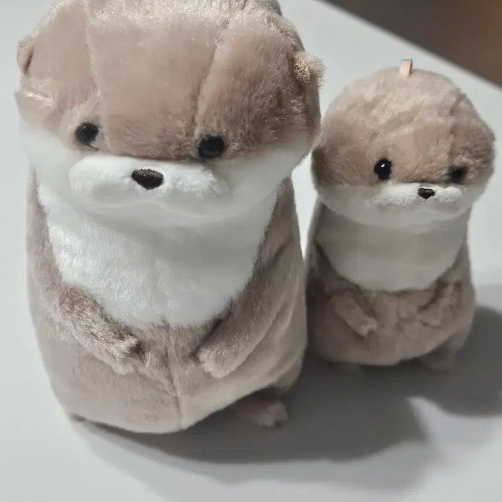 [BUNJANG] Amuse Otter Plush Set (10cm, 17cm) / 어뮤즈 수달인형 일괄 양도 10cm 17cm