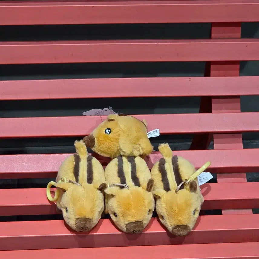 [BUNJANG] Boar Chollongi Bundle Set Dolls / 멧돼지 초롱이 일괄판매