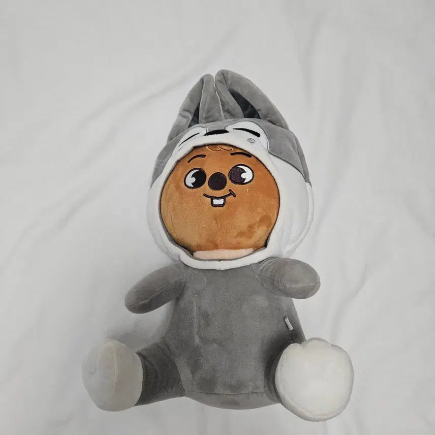 [BUNJANG] Stray Kids Han HanQuokka Soft Toy / 스키주 한쿼카 소프토토이 인형 토이월드 일본 팬미팅 사후통판 스트레이키즈 한 엠디 굿즈 toy world japan hanquokka soft toy