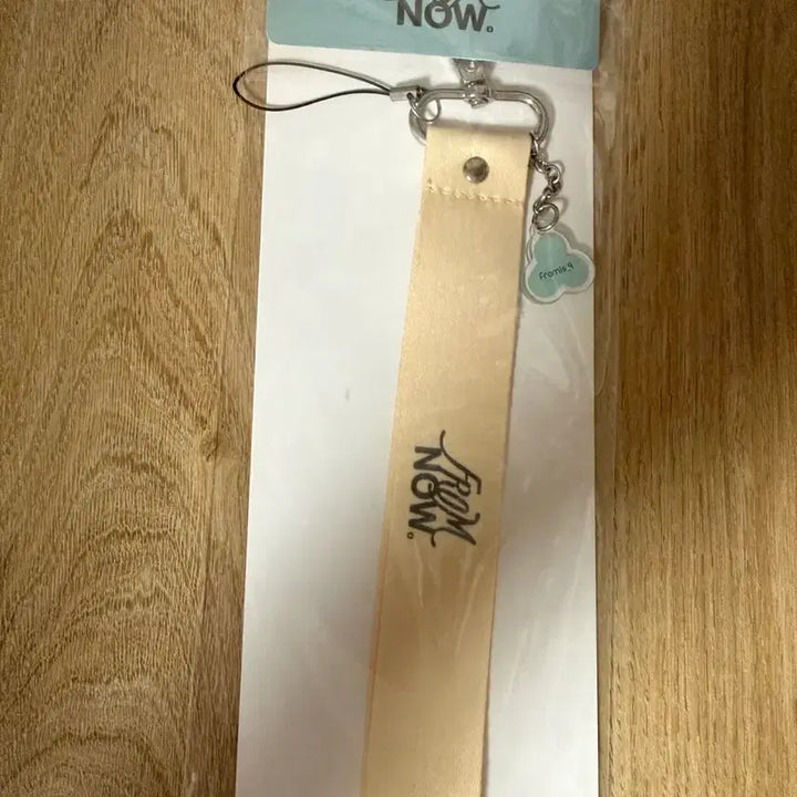 [BUNJANG] fromis_9 Concert Strap Keychain / 프로미스나인 콘서트 스트랩 키링 판매