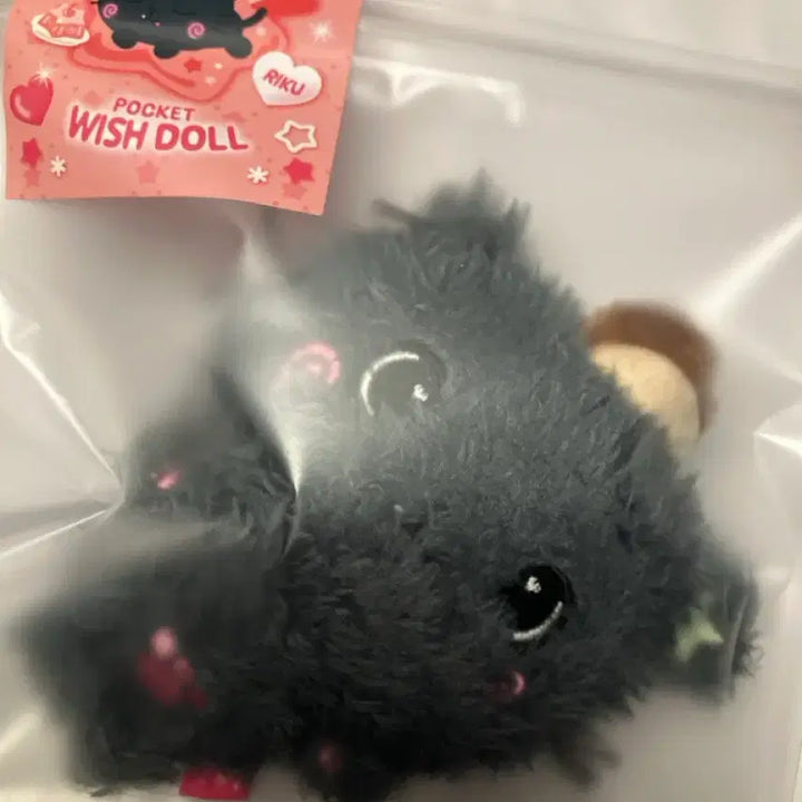 [BUNJANG] Pocket Wish Doll Kuri Sealed / 미개봉) 포켓위시돌 미개봉 쿠리 양도해용