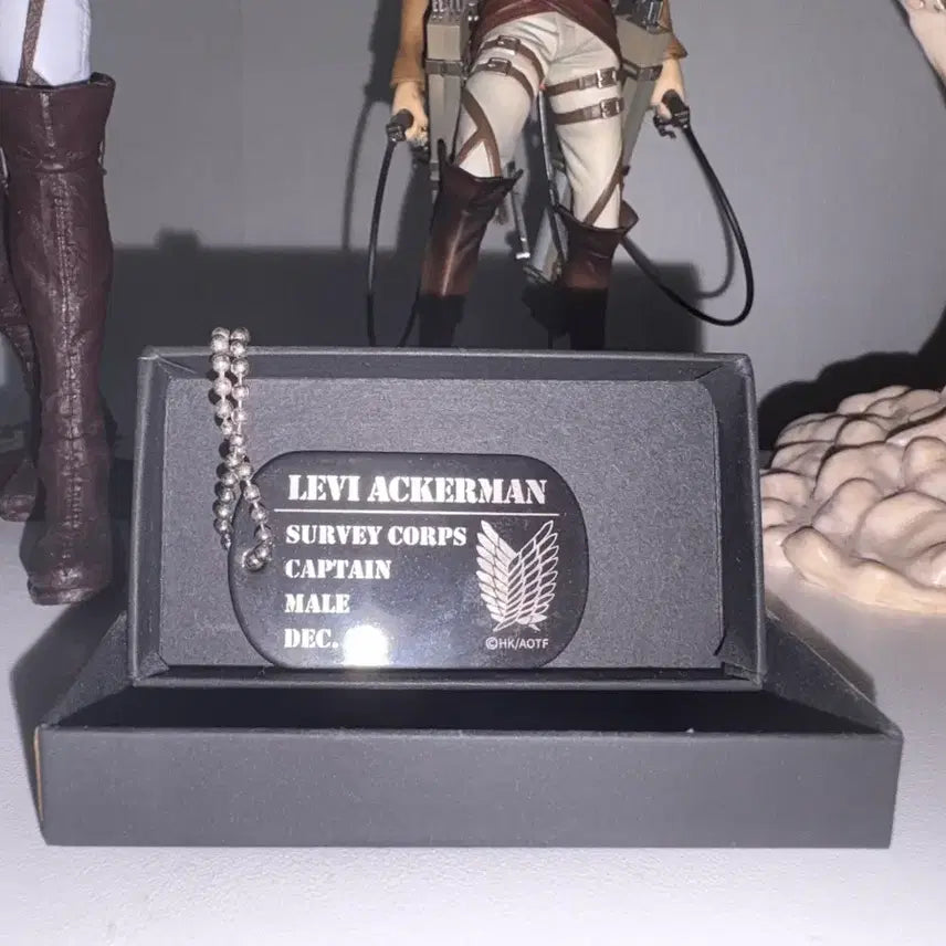 [BUNJANG] Attack on Titan Levi Dog Tag / 리바이 군번줄 급전입니다ㅠㅠㅠ제발사주세요ㅠ