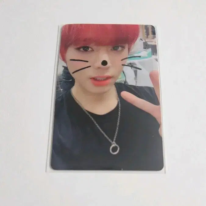 [BUNJANG] Park Jihoon Wanna One With Drama Photocard / 박지훈 워너원 위드드라마 포토카드