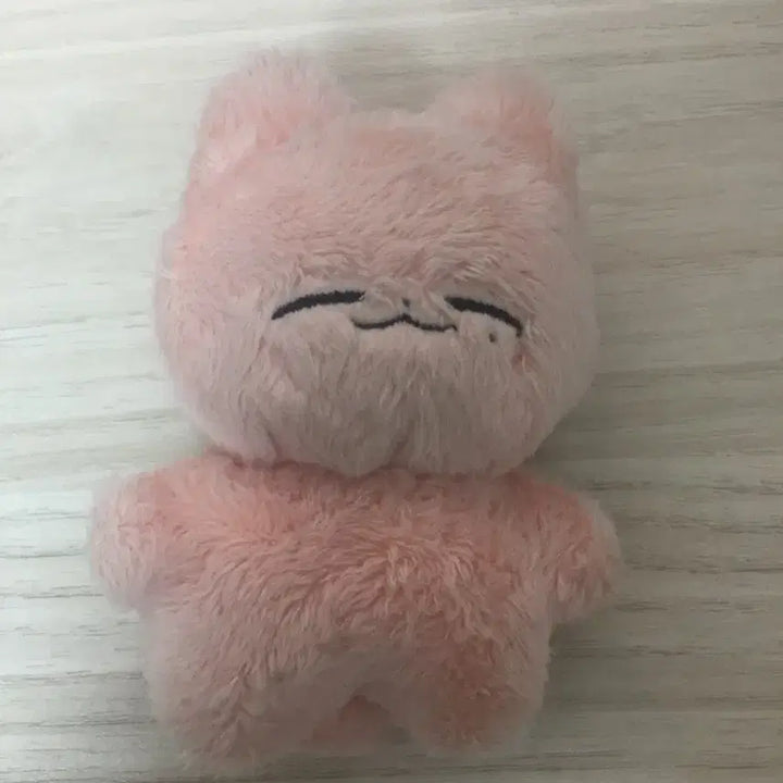 [BUNJANG] Cat Photocard / 잰냥이 양도