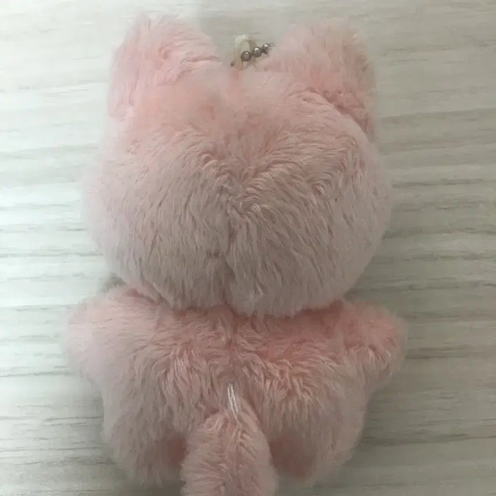 [BUNJANG] Cat Photocard / 잰냥이 양도