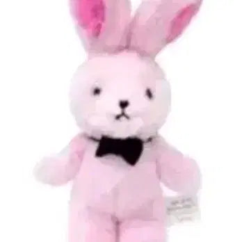 [BUNJANG] Line Friends Brown Good Friend Doll Keychain (Sealed) / 괴담출근 브라운 착한친구 인형 키링