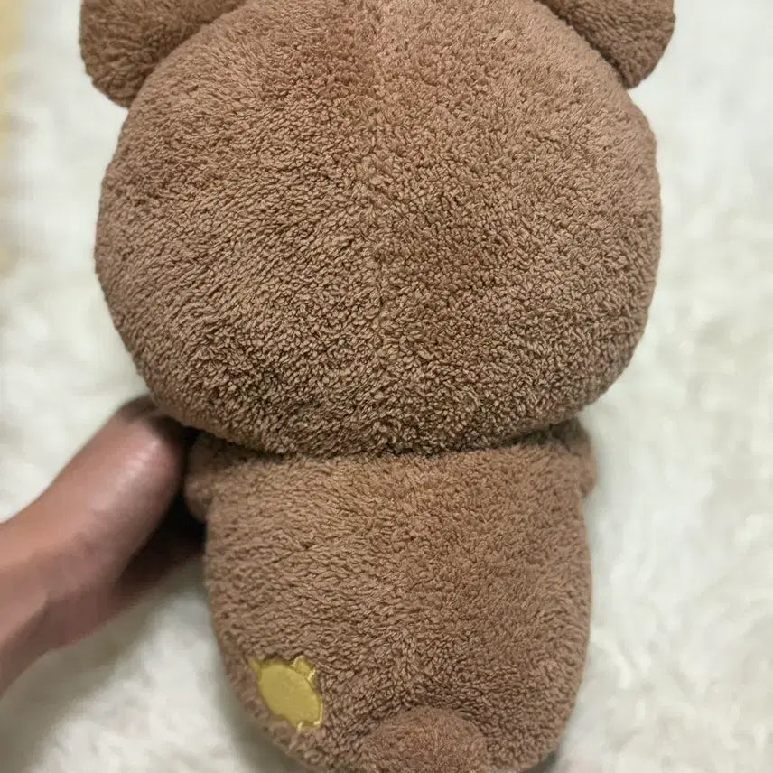 [BUNJANG] Rilakkuma Bear Plush Toy (Approx. 29cm) / 차이로이코구마인형