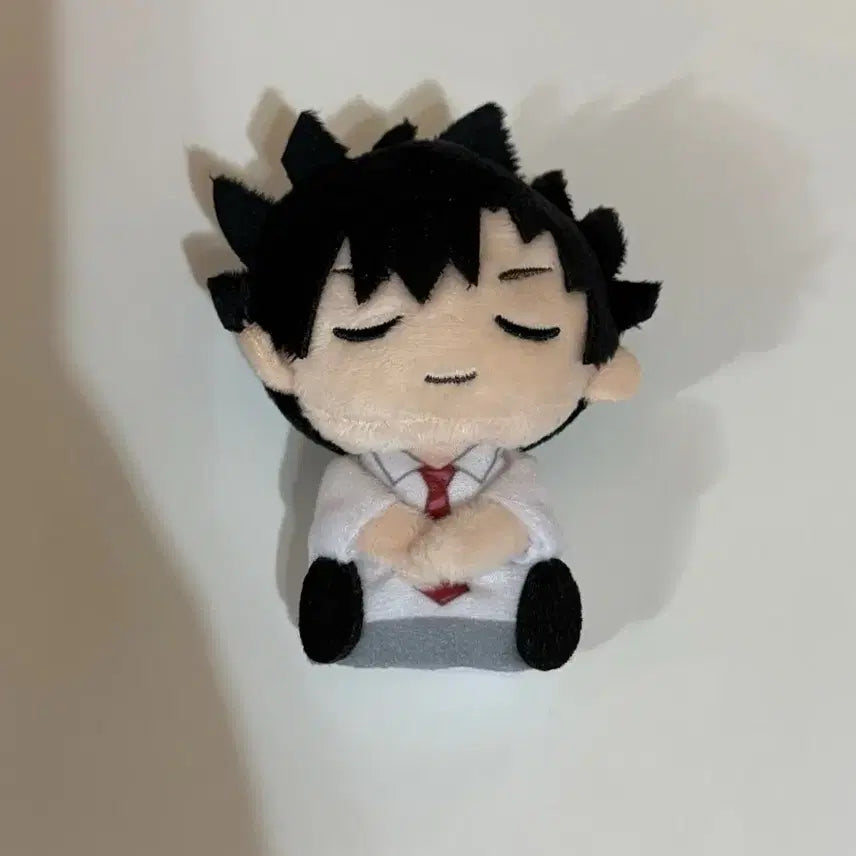 [BUNJANG] Haikyuu!! Tetsuro Kuroo Nap Ver. Plush / 하이큐 쿠로오 테츠로 자누이 낮잠 ver. 누이구루미 쿠로오 손가락 누이