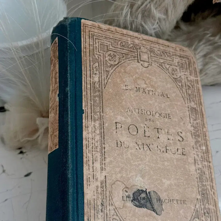 [BUNJANG] Vintage Book / 빈티지북