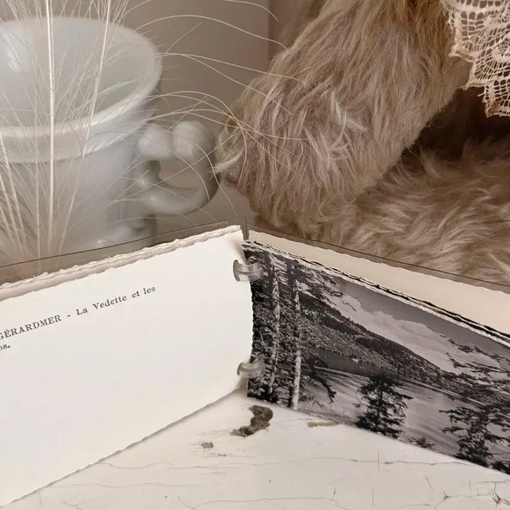 [BUNJANG] French Antique Photo Album / 프랑스엔틱 사진첩