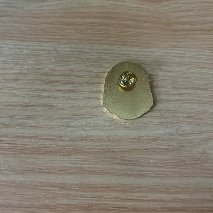 [BUNJANG] Lotte World Character Badge / 롯데월드 뱃지 롯데월드 캐릭터 뱃지
