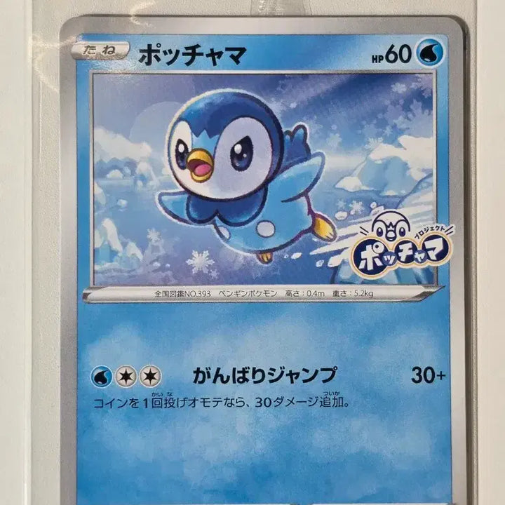 [BUNJANG] Pokemon Card Japanese Distribution Piplup Promo Sealed / 미개봉)포켓몬카드 일판 팽도리 프로모 미개봉 25주년