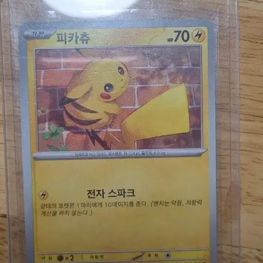 [BUNJANG] Pikachu Illustration Rare Card / 피카츄 카드 일러스트 레어