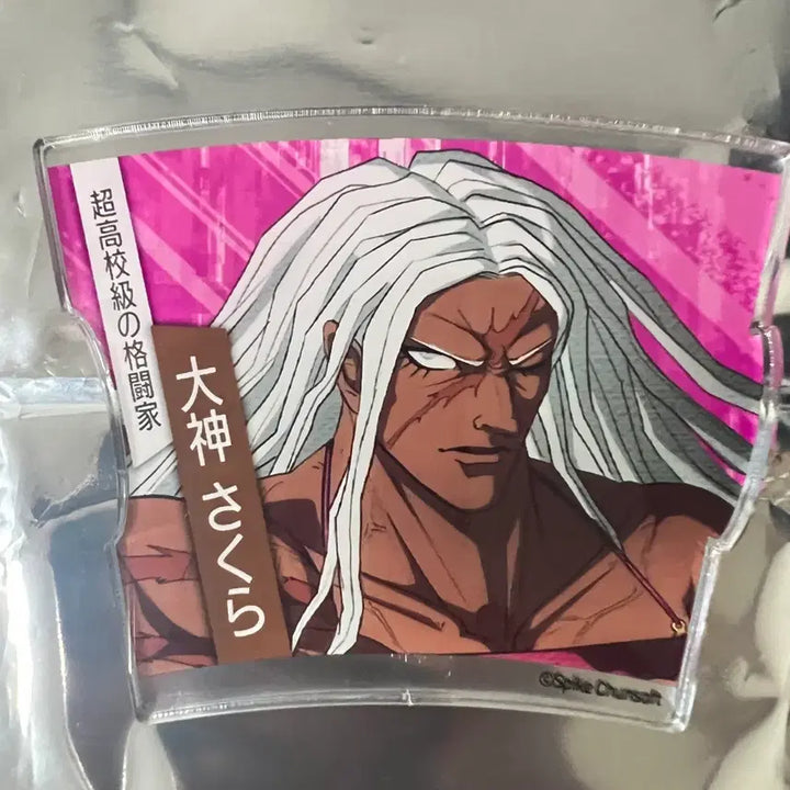 [BUNJANG] Danganronpa Sakura Acrylic Puzzle Coaster / 단간론파 사쿠라 아크릴 퍼즐 코스터