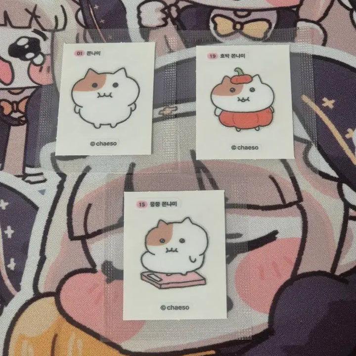 [BUNJANG] Pumpkin Tteokbokki Stikers Bundle / 쫀냐미 띠부씰 스티커 일괄 01 19 15 호박 뚱쭝 기본