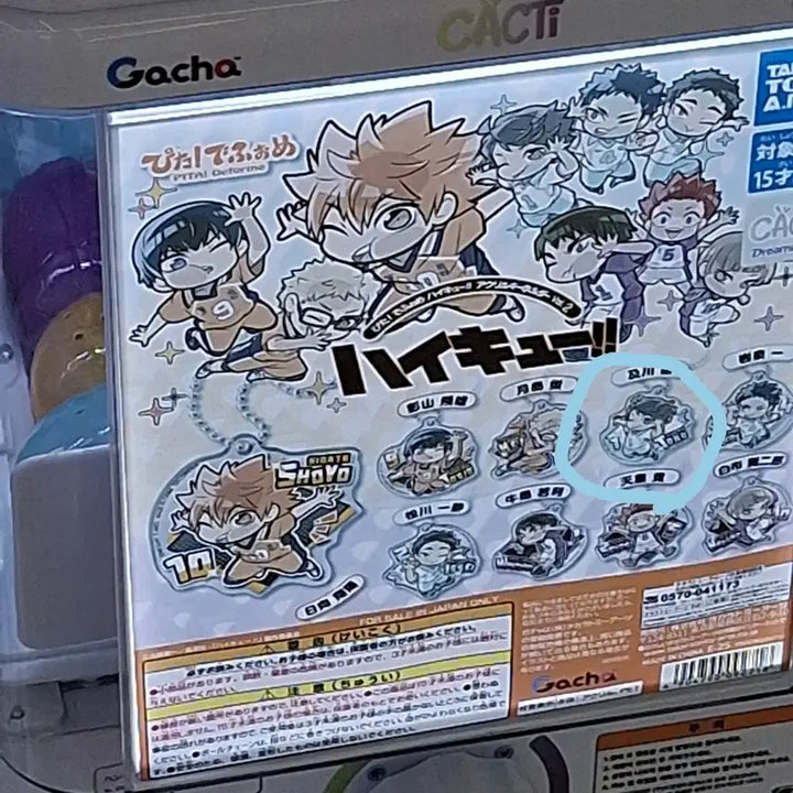 [BUNJANG] Haikyuu!! Toru Oikawa Gacha Keyring / 하이큐 오이카와 토오루 가챠 키링