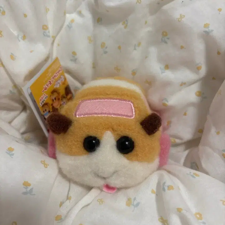 [BUNJANG] Morooka Potato Avi Bundle Set / 모루카 포테토 아비 일괄