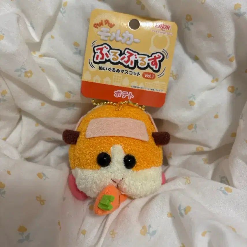 [BUNJANG] Morooka Potato Avi Bundle Set / 모루카 포테토 아비 일괄