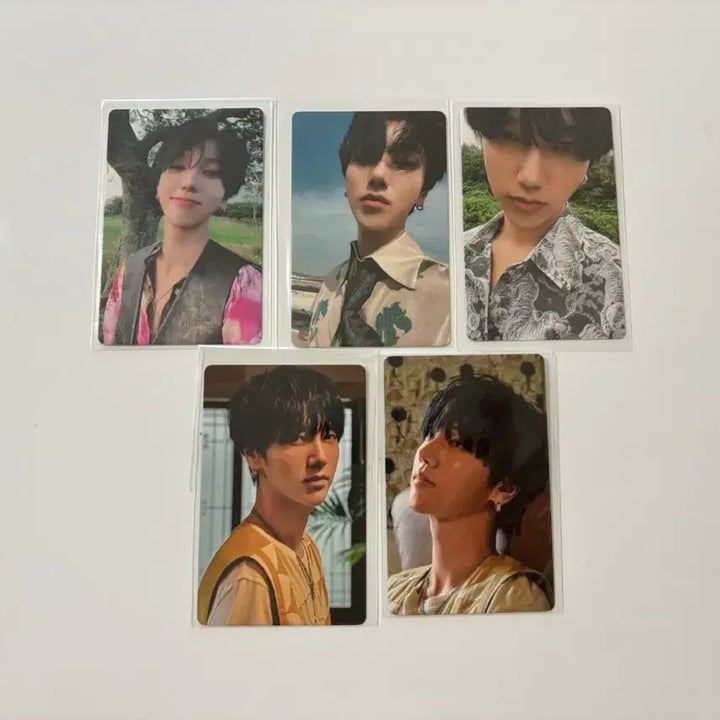 [BUNJANG] Super Junior Yesung Bundle Set Photocard / 슈퍼주니어 예성 포카 일괄 판매
