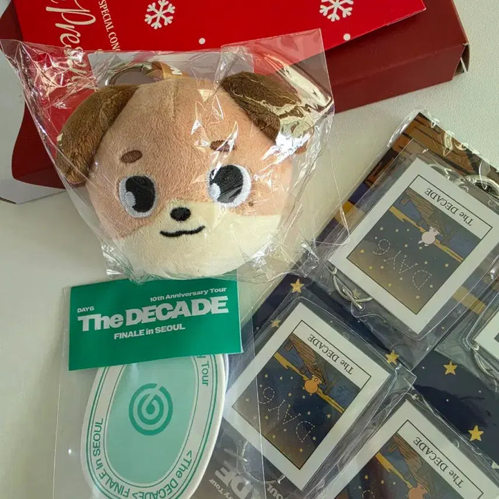 [BUNJANG] Day6 Japan MD Charm / 데이식스 일본엠디 백참