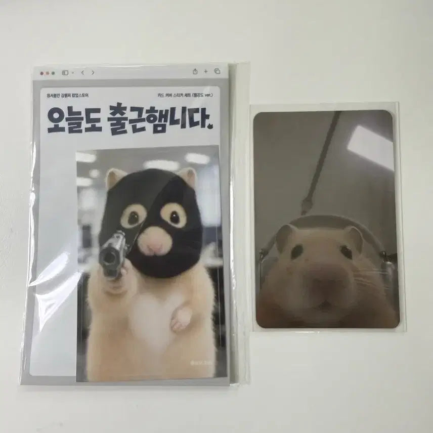 [BUNJANG] Kim Hamzzi Kang Do Ham Card Cover Set / 김햄찌 강도햄 카드커버 1장 + 서비스 포카 1장