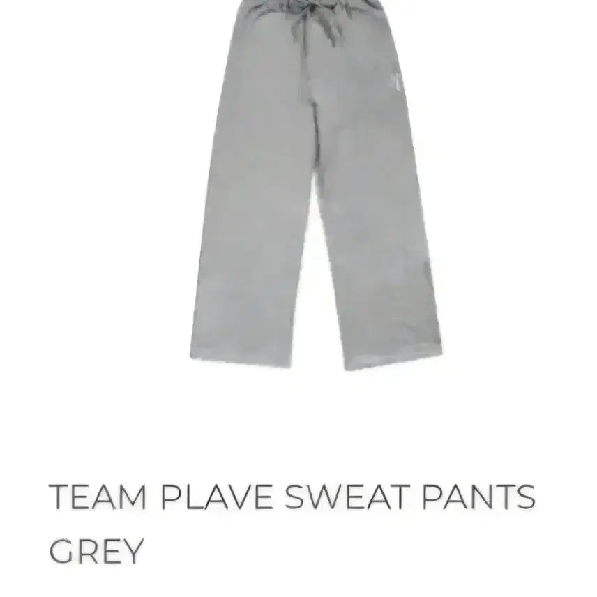 [BUNJANG] PLAVE Sweatpants (Gray) L Size, Sealed / 플레이브 스웻팬츠 TEAM PLAVE 바지 L사이즈 미개봉 (회색)