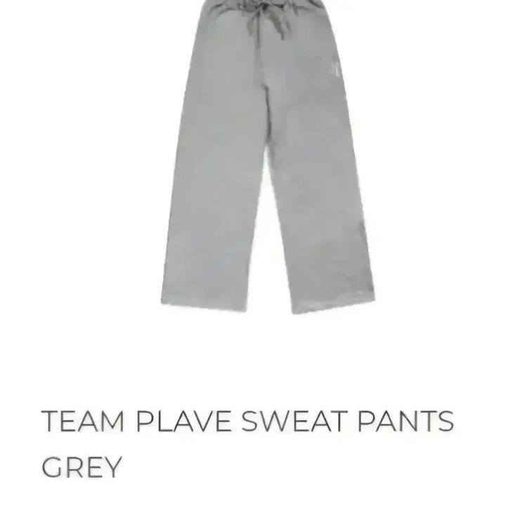 [BUNJANG] PLAVE Sweatpants (Gray) L Size, Sealed / 플레이브 스웻팬츠 TEAM PLAVE 바지 L사이즈 미개봉 (회색)