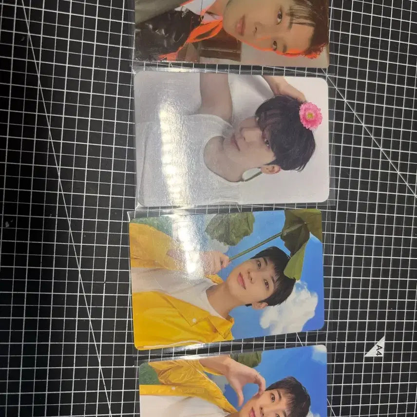 [BUNJANG] SEVENTEEN Wonwoo Photocard Set (4 Types) / 세븐틴 원우 포토카드 4종