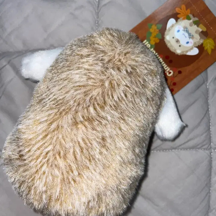 [BUNJANG] Cinnamoroll Hedgehog Plush / 시나모롤 고슴도치 인형