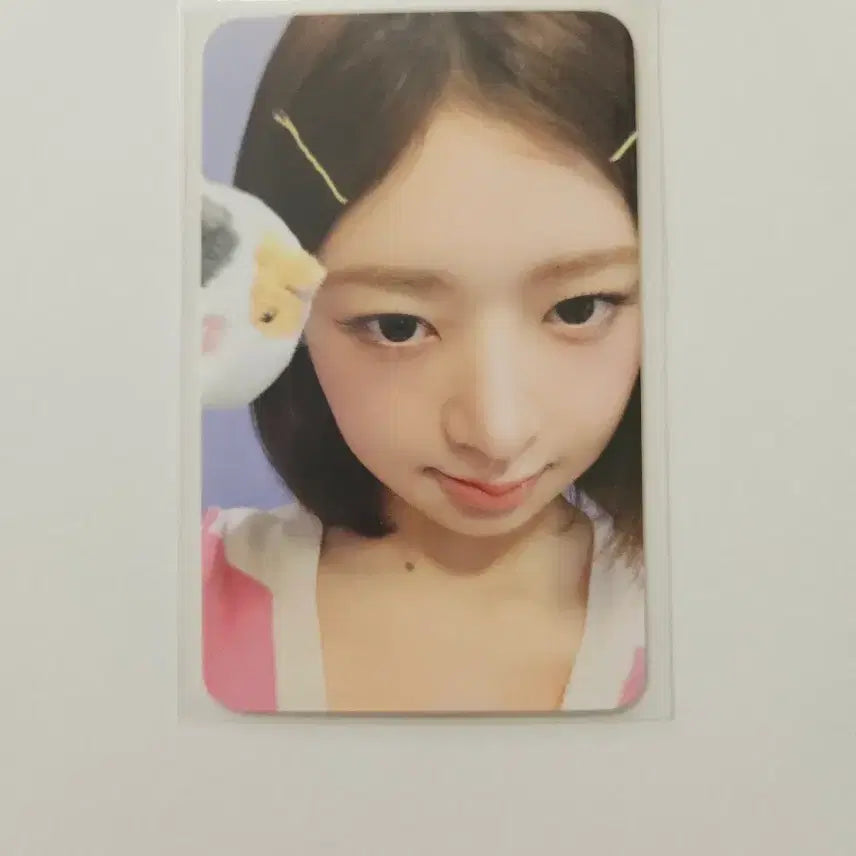 [BUNJANG] IVE Rei Everland Exclusive Photocard / 아이브 레이 에버랜드  입장 엠디 MD 특전 포카 미니브 포토카드분철