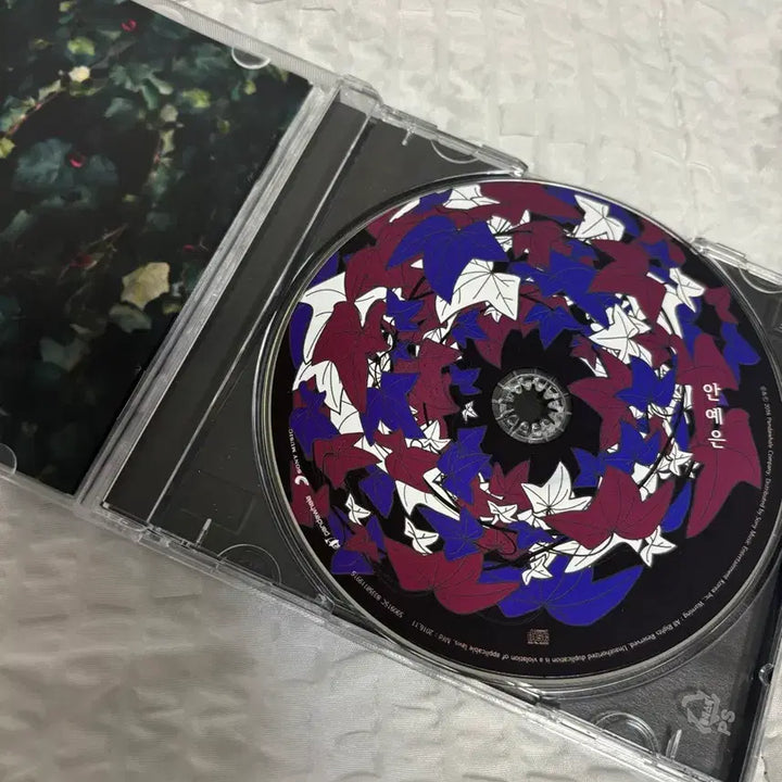 [BUNJANG] Ahn Yae Eun 1st Album Regular Edition / 안예은 1집 앨범 일반반