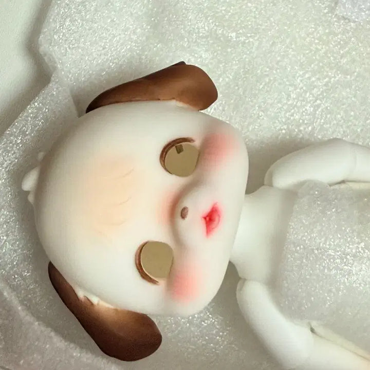 [BUNJANG] LinaShoSho Ball Jointed Doll Set / 리나슈슈 구관 축생 뽀송