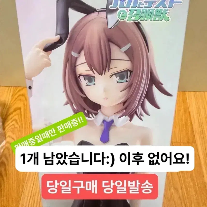 [BUNJANG] Baka to Test to Shoukanjuu Hideyoshi Kinoshita BICute Bunnies Figure (Sealed) / (미개봉,현물)1명이후 끝 미소년 바보와 시험과 소환수 키노시타 히데요시 BICute bunnies 피규어