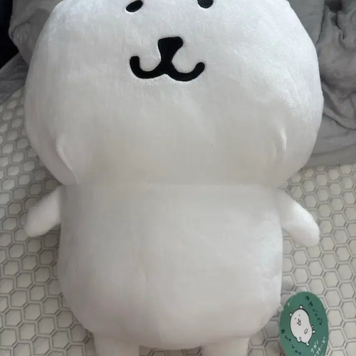 [BUNJANG] Nongdamgom Foryu 45cm Doll / 농담곰 후류 45cm 인형 팝니다