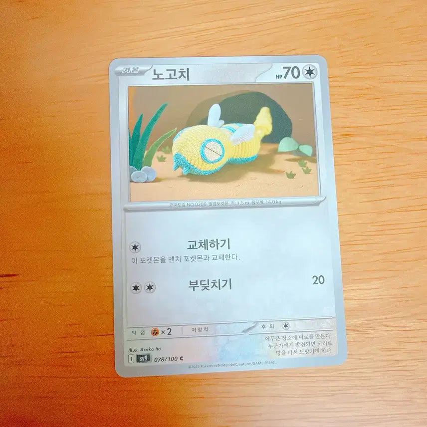 [BUNJANG] Pokemon Card Noibat / 포켓몬 카드 노고치