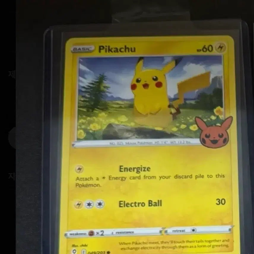 [BUNJANG] North American Halloween Pikachu &amp; 5 Others Card Set / 북미 할로윈 피카츄 그 외 5종