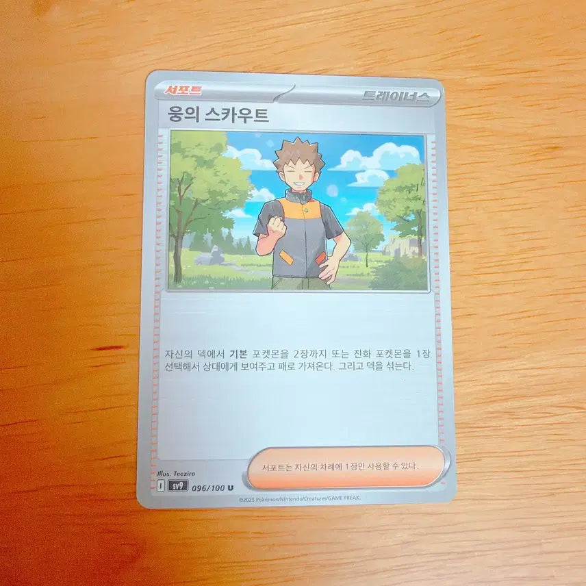 [BUNJANG] Pokemon Card "Young&
