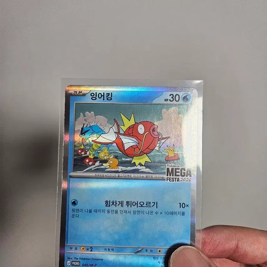 [BUNJANG] Pokemon Card Magikarp MEGA FESTA 2026 Promo / 포켓몬 카드 잉어킹 MEGA FESTA 2026 프로모 판매