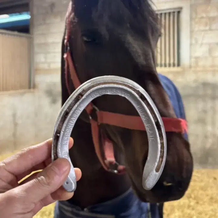 [BUNJANG] Racehorse Horseshoe / 경주마 말편자 풍수용품 마사회경주마