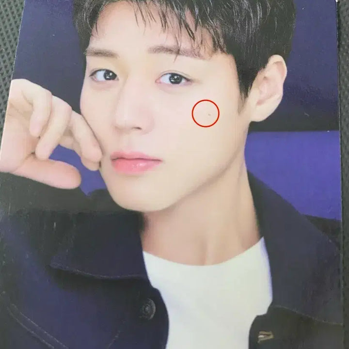 [BUNJANG] Park Jihoon MakePremium Photocard C Set / 박지박 메이크프렘 포카 C세트